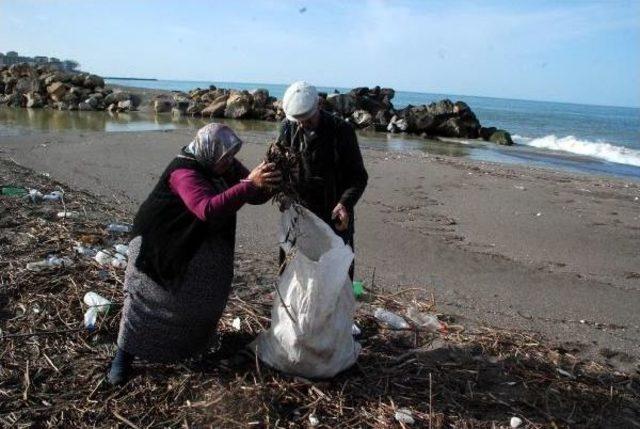 Sahile Vuran Dal Parçaları Yakacakları Oluyor