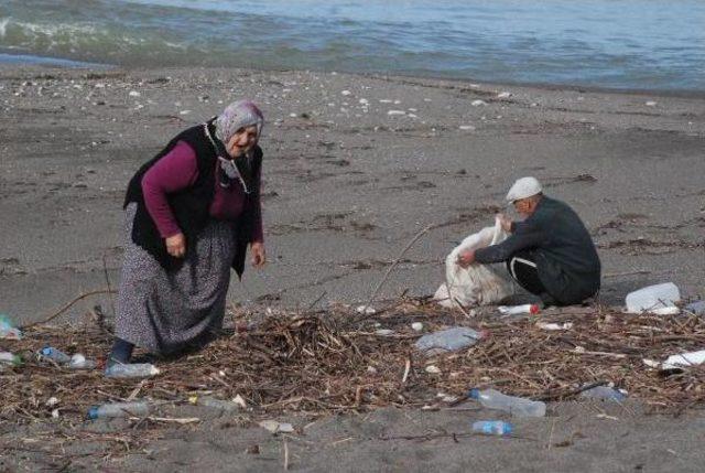 Sahile Vuran Dal Parçaları Yakacakları Oluyor