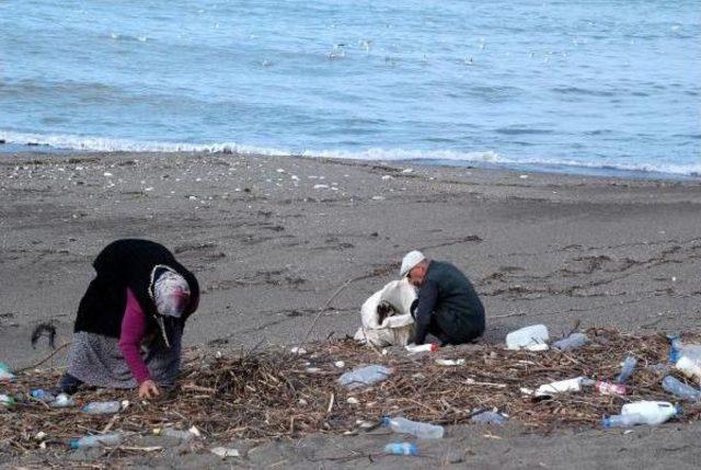 Sahile Vuran Dal Parçaları Yakacakları Oluyor