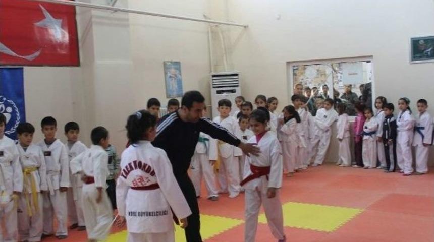 Siirt Tekvandoda Takım Halinde İkinci Oldu