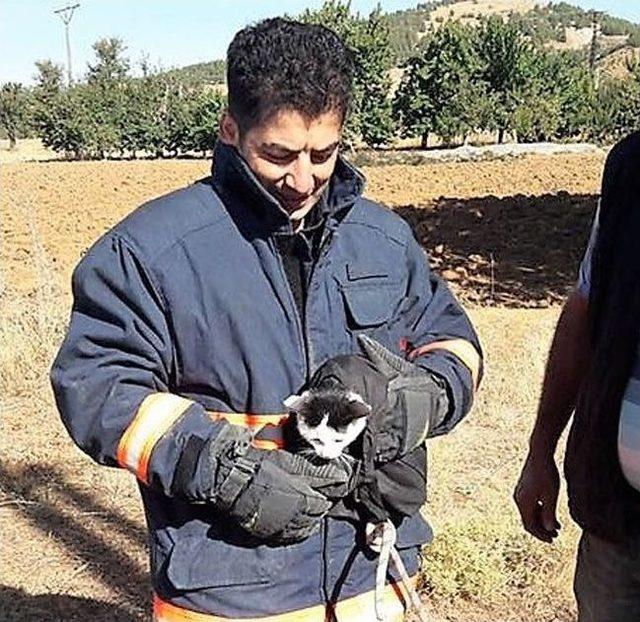 10 Metrelik Kuyuya Düşen Kedi Kurtarıldı 1