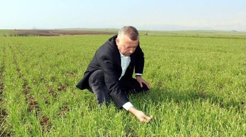 &Ccedil;ift&ccedil;i Desteklemenin Artacak Olmasına Seviniyor