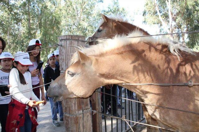 Çocuk Şube Müdürlüğünden Çocuklar İçin Proje