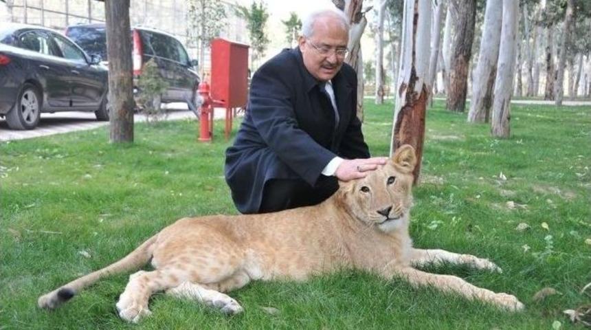 Tarsus Hayvanat Bah&ccedil;esi&rsquo;ne Yoğun İlgi