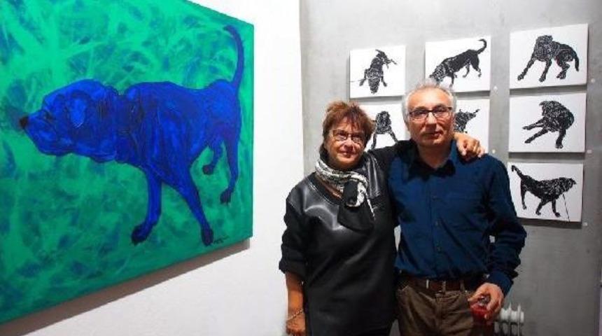 'k&ouml;pek Halleri'ni Tuvale Taşıdı