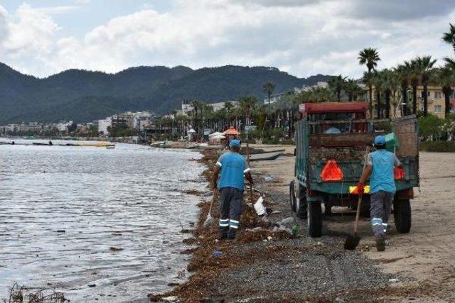 Marmaris te Sağanak Yağmurdan Sonra Sahilde Kirlilik 3