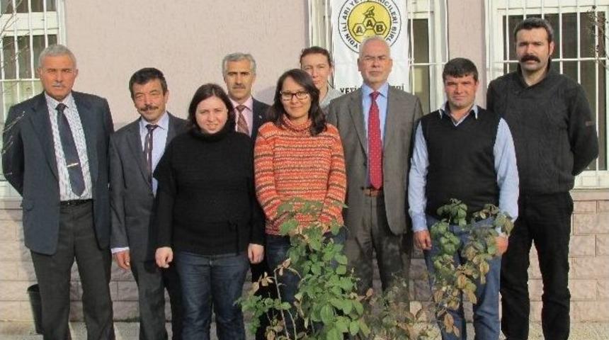 Arıcılar Bal Ve Arı Hırsızlığının Organize Su&ccedil; Olarak Değerlendirilmesini İstiyor