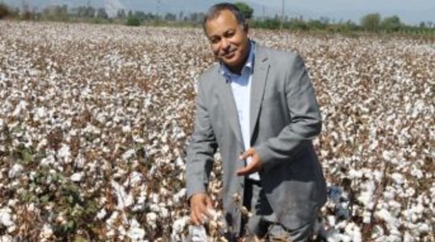 Kocabaş; "y&uuml;sek Maliyet &Ccedil;ift&ccedil;iyi Pamuktan Uzaklaştırıyor"