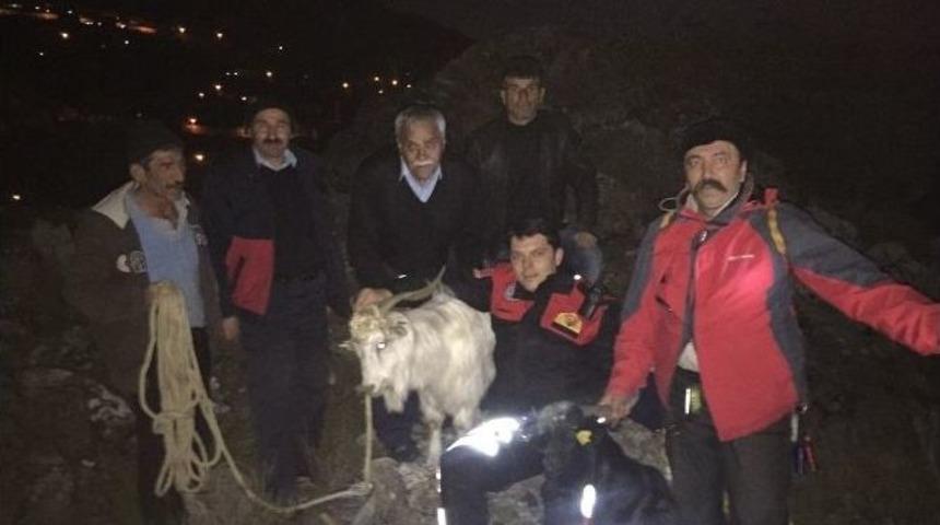 Kayalıklarda Mahsur Kalan 2 Keçi Kurtarıldı