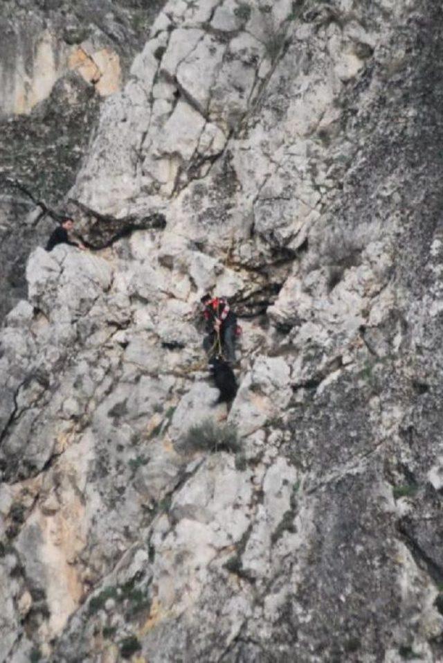 Dağda Mahsur Kalan Keçiler, Itfaiye Tarafından Kurtarıldı