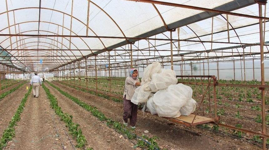Antalya&rsquo;da Hortum Seraları Yerle Bir Etti