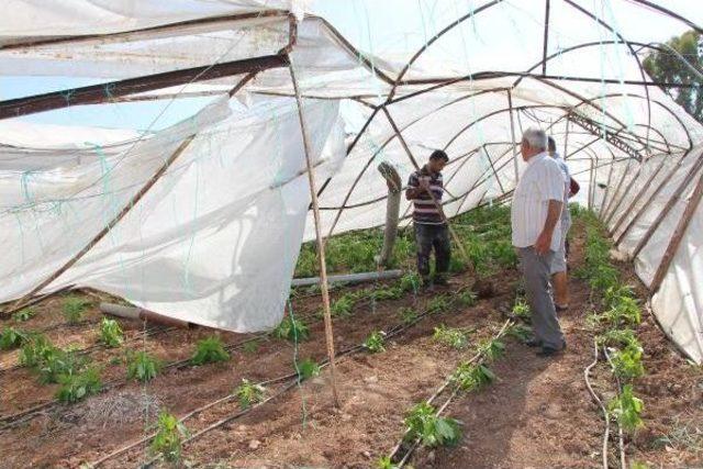 Kumluca'da Hortum Seralara Zarar Verdi