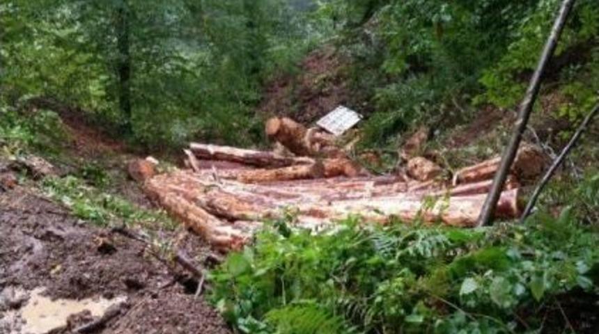 Odun Y&uuml;kl&uuml; Kamyon Şarampole U&ccedil;tu: 2 Yaralı
