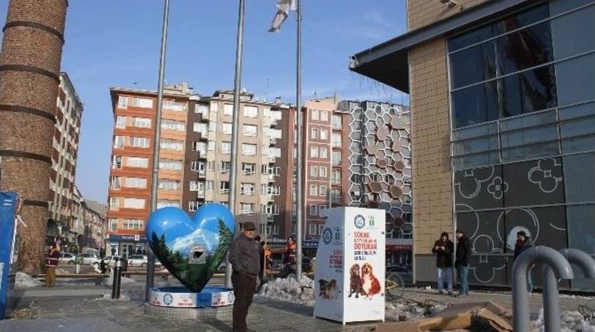 Sokak Hayvanları İ&ccedil;in Geliştirilen Mama Kutusu G&uuml;neş Enerjisi İle &Ccedil;alışacak