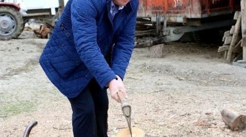 Taş&ccedil;ı Odun Yardı, Top Oynadı