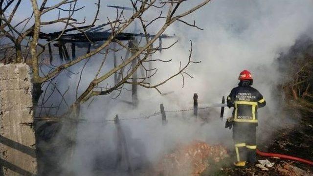 Akçakoca’da Baraka Yangını