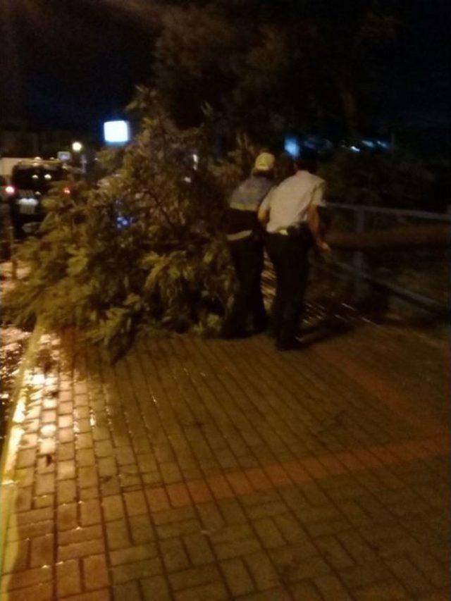 Alanya’da Şiddetli Yağmur Hayatı Felç Etti