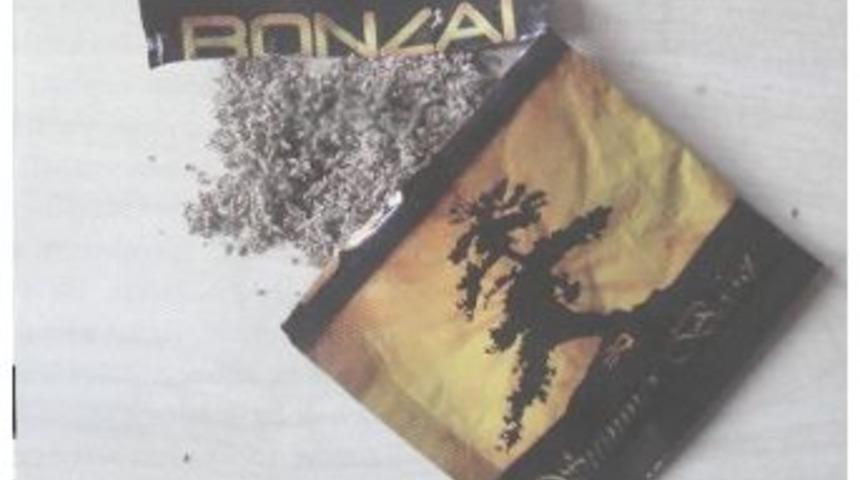 &Ccedil;anakkale&rsquo;de Bonzai Operasyonu