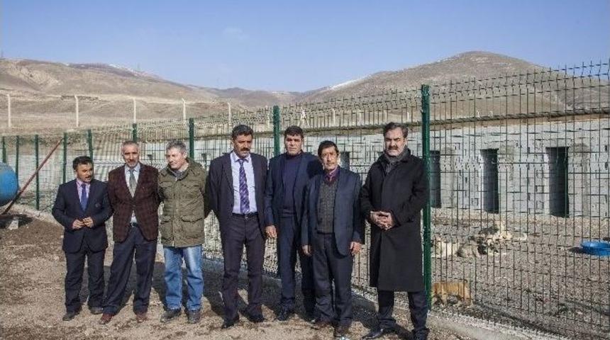 Ahlat Belediyesi Hayvan Barınağı Yaptı