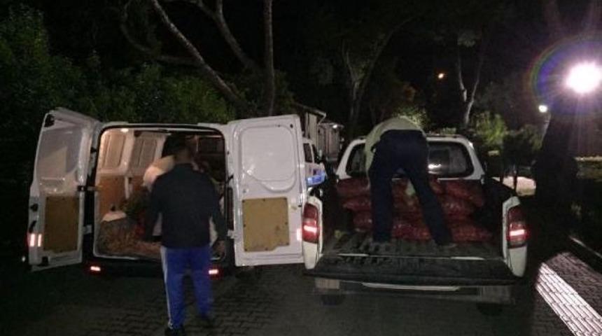 &Ccedil;anakkale'de 10 Ton Akivadese El Konuldu