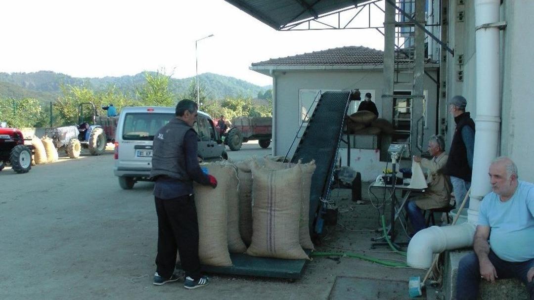 Fındığını Tmo&rsquo;ya Verenler Uzun Kuyruklar Oluşturdu