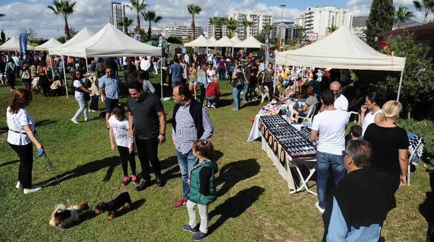Hayvanseverler Patifest&rsquo;te Buluştu
