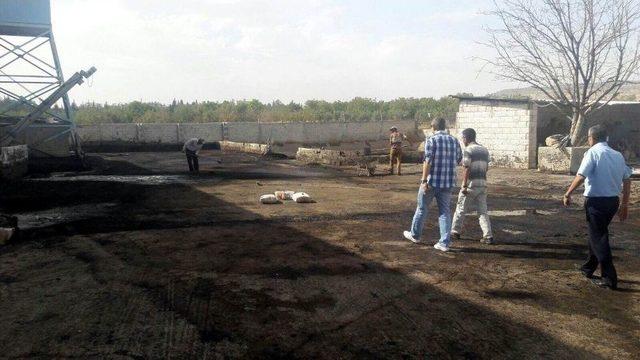 Kilis Belediyesi Zabıta Müdürlüğü Çalışmaları Sürüyor