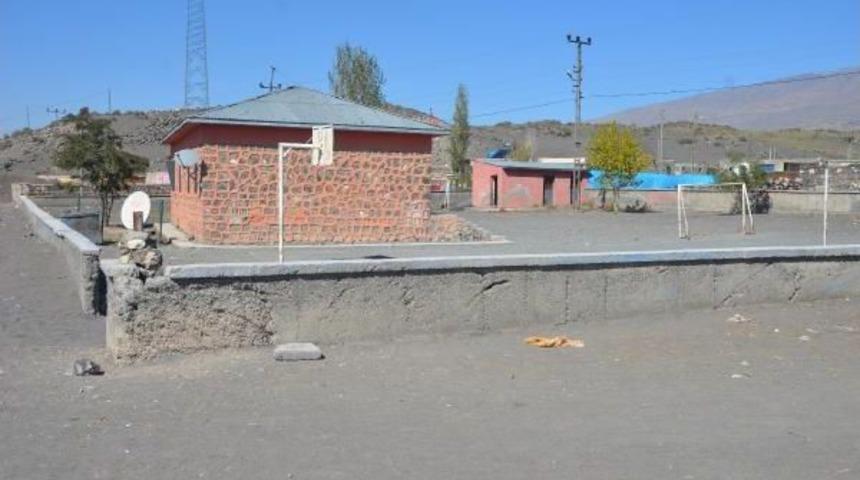 Yavru K&ouml;peğin &Ouml;l&uuml;m&uuml;ne Neden Olan Tekmeler, Cep Telefonu Kamerasında