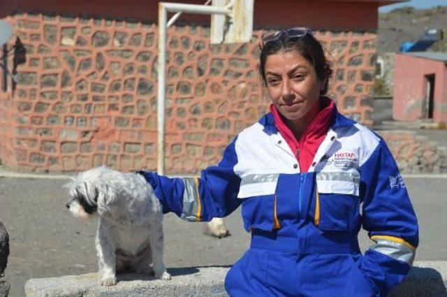 Yavru Köpeğin Ölümüne Neden Olan Tekmeler, Cep Telefonu Kamerasında 2