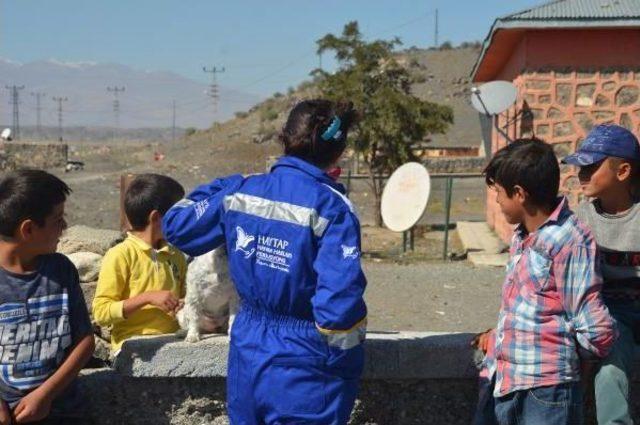 Yavru Köpeğin Ölümüne Neden Olan Tekmeler, Cep Telefonu Kamerasında 3