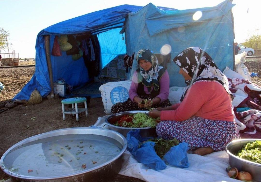 Ekmek Paraları İ&ccedil;in Evleri Sırtlarında Geziyorlar