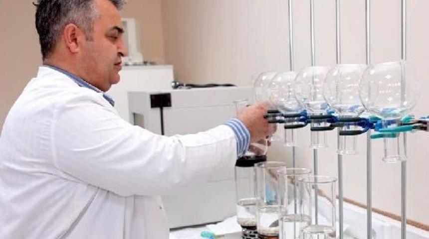 &Uuml;niversiteden Kuru Fasulye Araştırması