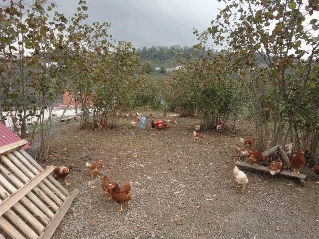 B&uuml;y&uuml;kşehir&rsquo;den Kırsal Kalkınma Seferberliği