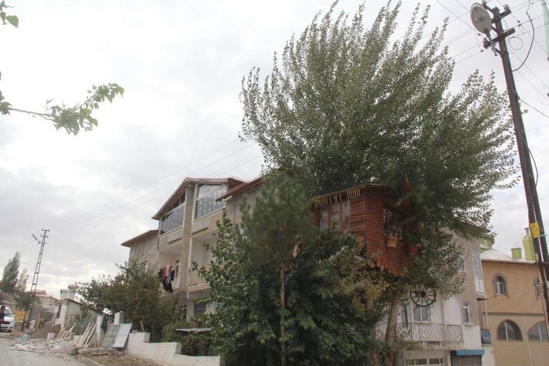 Ağa&ccedil; Evin Y&uuml;rek Burkan &Ouml;yk&uuml;s&uuml;