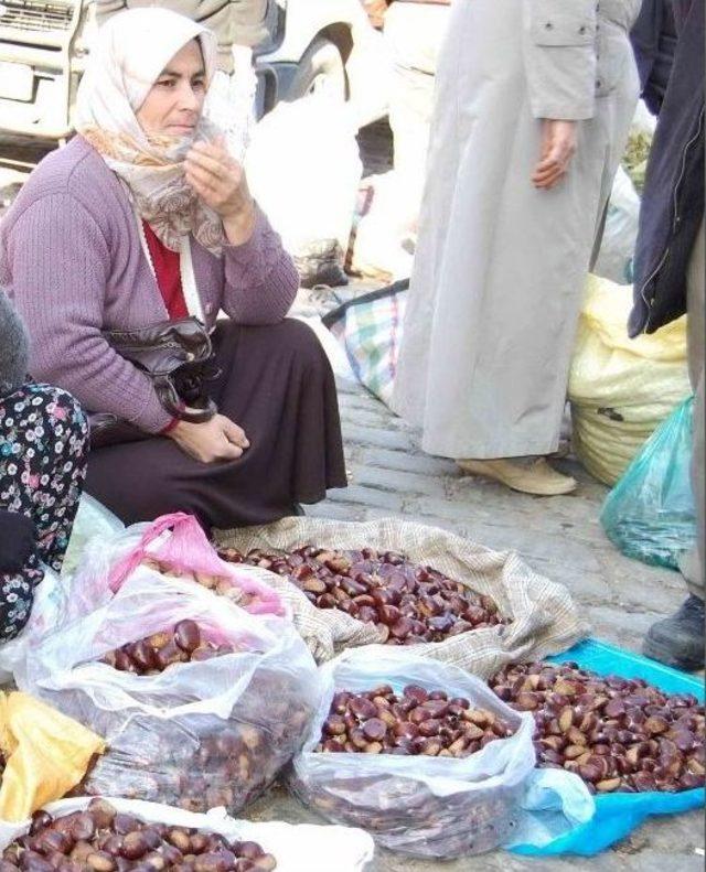 Organik Kestane Zam Şampiyonu