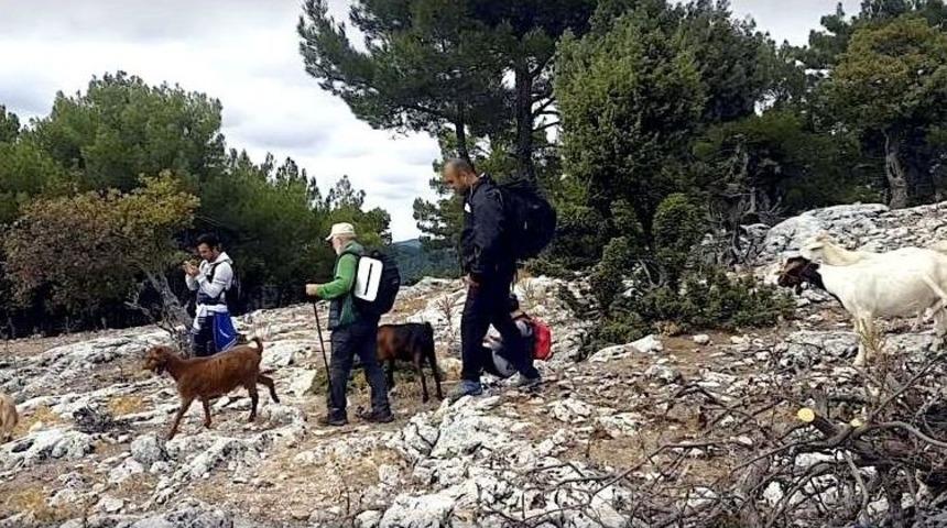 Kazdağları’nda Keçilerle Trekking