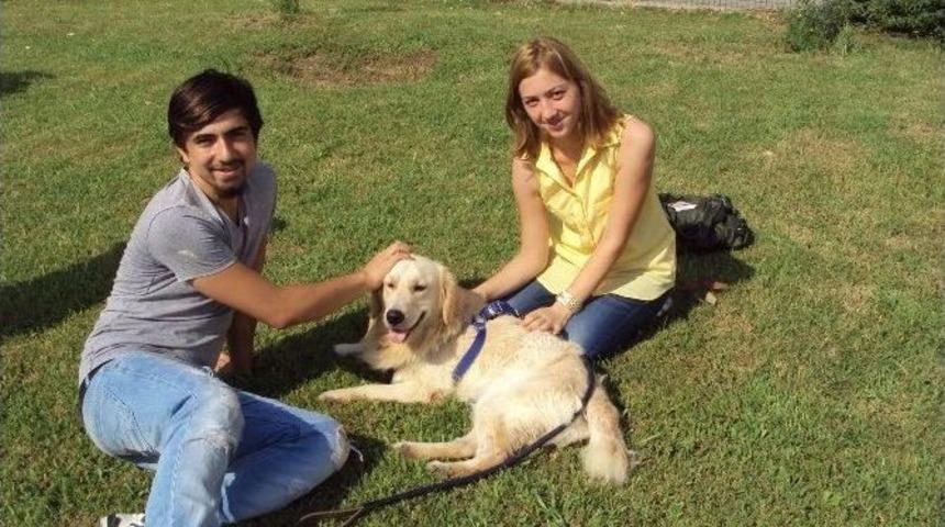 Konyaaltı&rsquo;nda 52 Sokak Hayvanı Sıcak Yuvaya Kavuştu