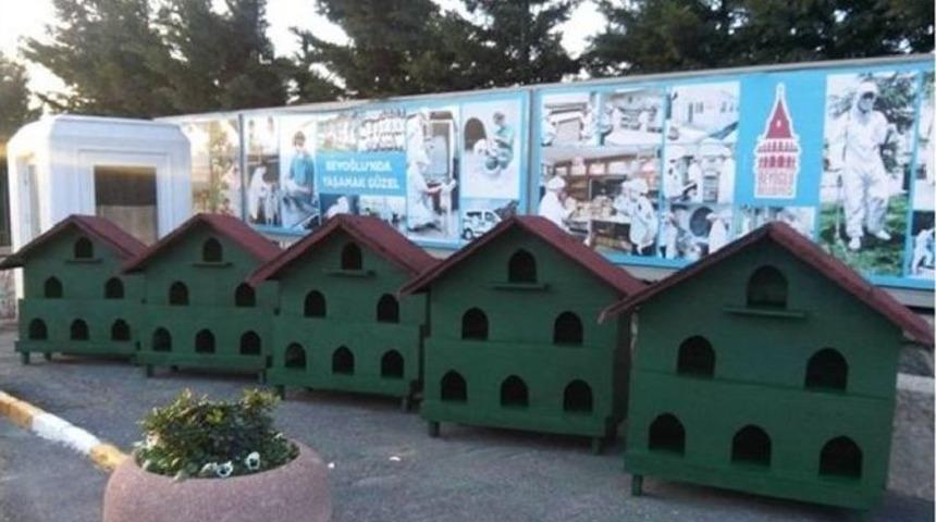 &ldquo;3 Katlı Villa Barınağı&rdquo; Kedilerin Hizmetinde