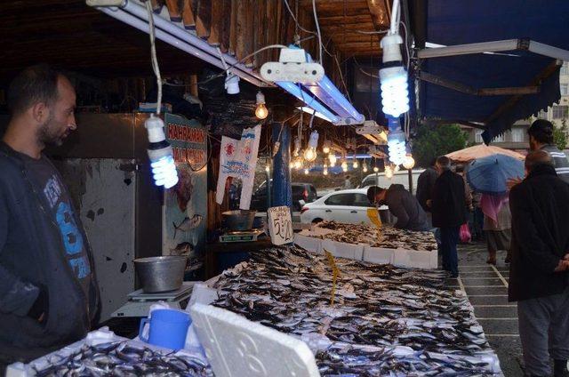 Karadeniz’de Beklenen Balık Avı Olmayınca Tekneler Moritanya’ya Yöneldi