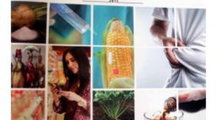 Şeker Sekt&ouml;r&uuml; Kitap&ccedil;ık Ve Broş&uuml;rlerle Halka Anlatılacak