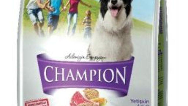 Champıon Mama Köpeklerin Besin İhtiyacını Karşılıyor