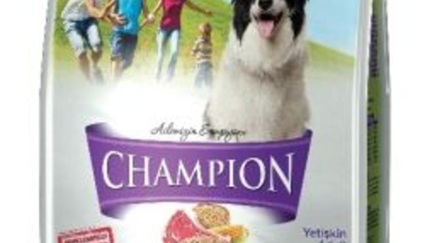 Champıon Mama K&ouml;peklerin Besin İhtiyacını Karşılıyor