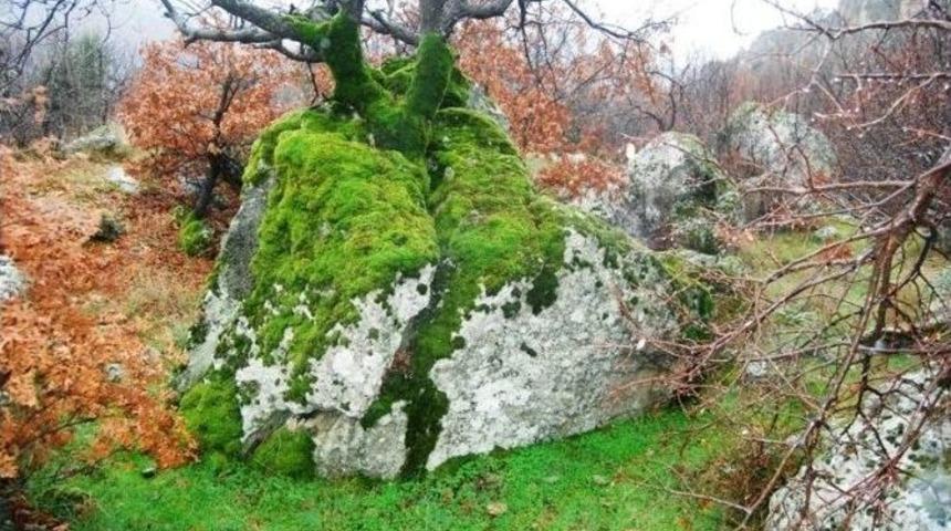 İha&rsquo;nın Haberi Ses Getirdi