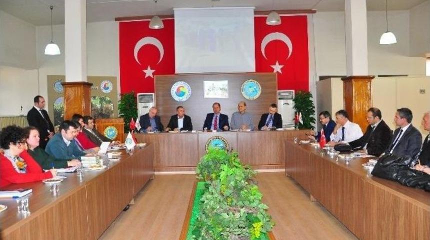 Prof. Dr. Altındişli&rsquo;den &Uuml;z&uuml;m &Ccedil;ağrısı