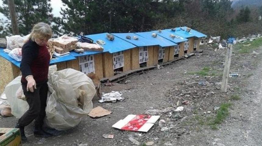 İnebolu’da Hayvan Sevenlerden Barınak Hizmeti