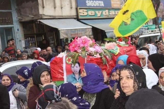 Suriye’de Öldürülen Kadın Pkk’lı Siirt’te Defnedildi