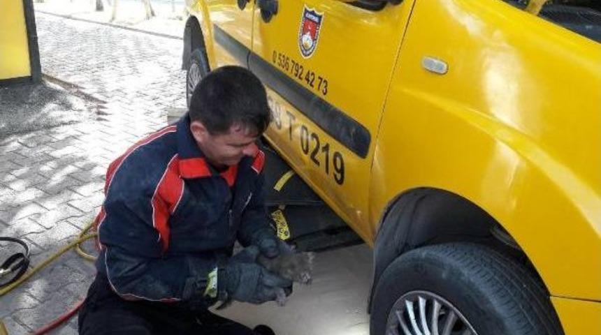 Taksinin Motoruna Sıkışan Kediyi Itfaiye Kurtardı