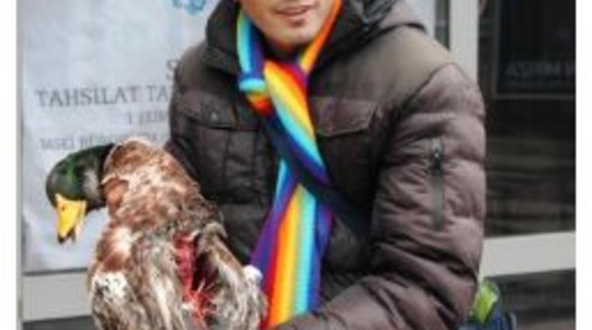 K&ouml;pekler 6 Ayda 50 &Ouml;rdeğini Telef Edince Belediye &Ouml;n&uuml;nde A&ccedil;ıklama Yaptı