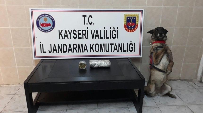 Jandarmadan Uyuşturucu Operasyonu