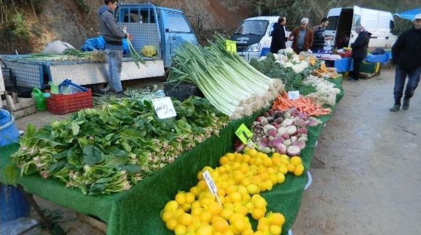 G&uuml;zelyalı Cumartesi Pazarı Yeni Yerine Taşındı